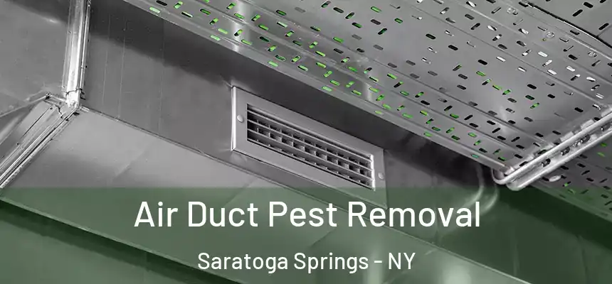  Air Duct Pest Removal Saratoga Springs - NY