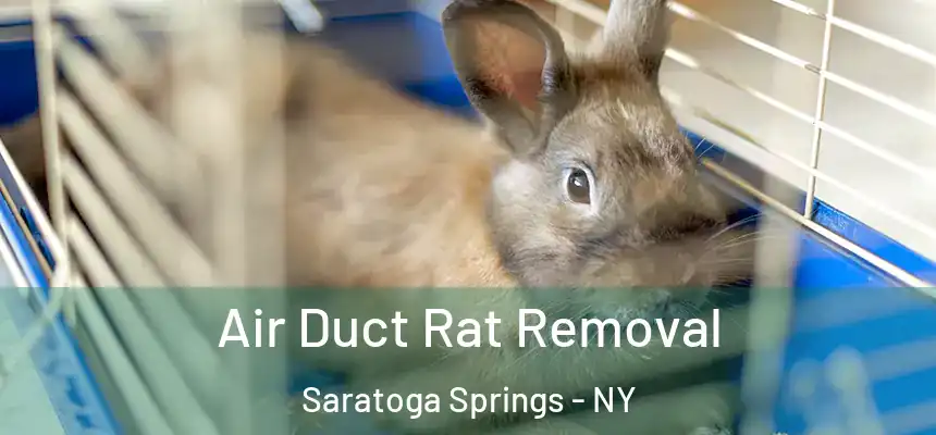  Air Duct Rat Removal Saratoga Springs - NY