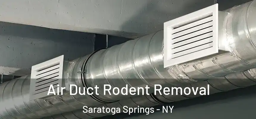 Air Duct Rodent Removal Saratoga Springs - NY