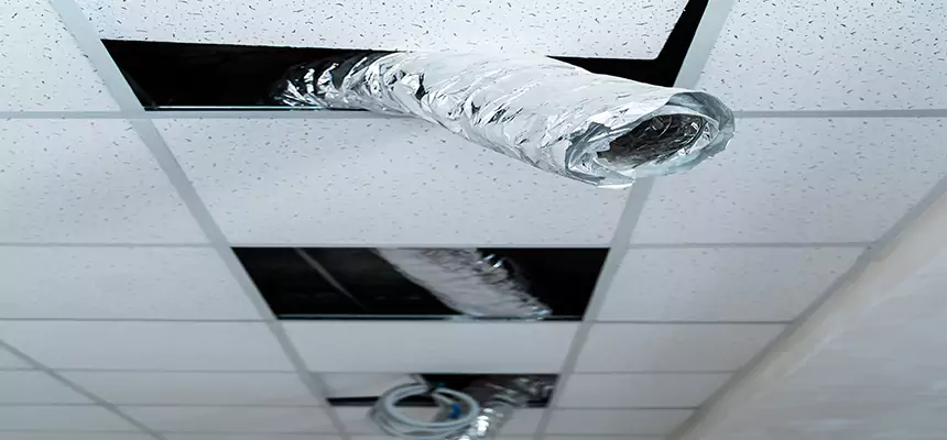 Affordable HVAC Sanitizing After Pest Removal in Saratoga Springs