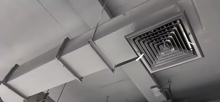 Our Pest Removal From Ducts Services in Saratoga Springs, NY