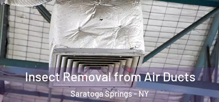 Insect Removal from Air Ducts Saratoga Springs - NY