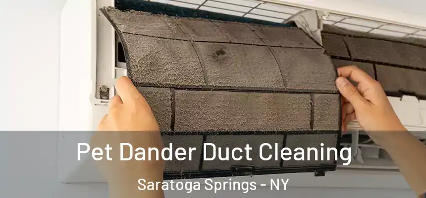 Pet Dander Duct Cleaning Saratoga Springs - NY