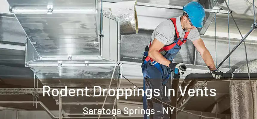 Rodent Droppings In Vents Saratoga Springs - NY