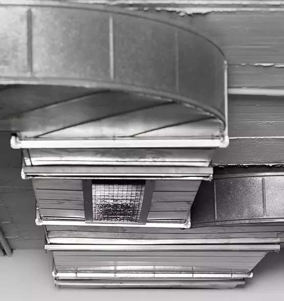 Professional Air Duct Pest Removal in Saratoga Springs, NY